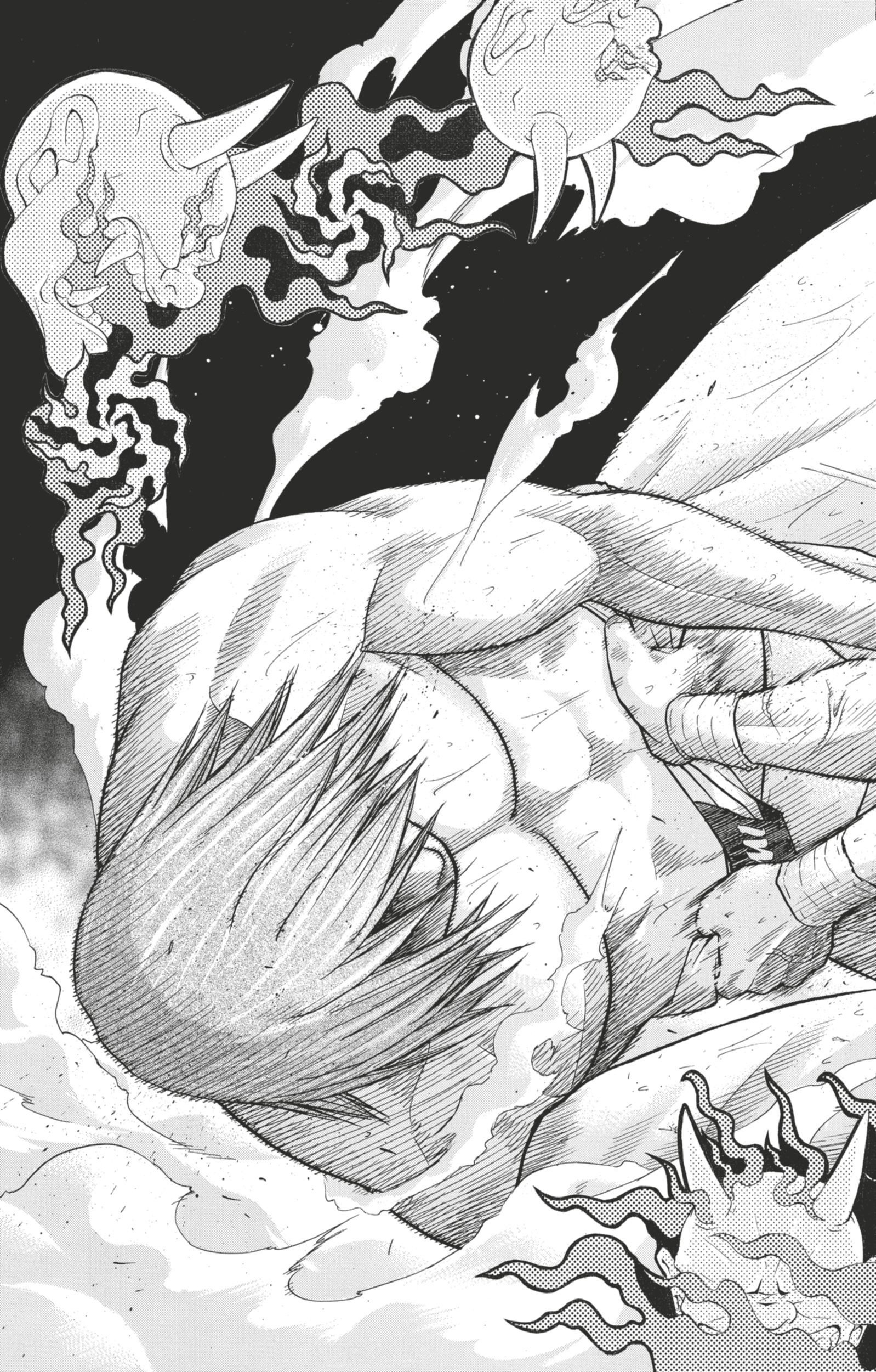 Read Hinomaru Zumou FR Manga Online