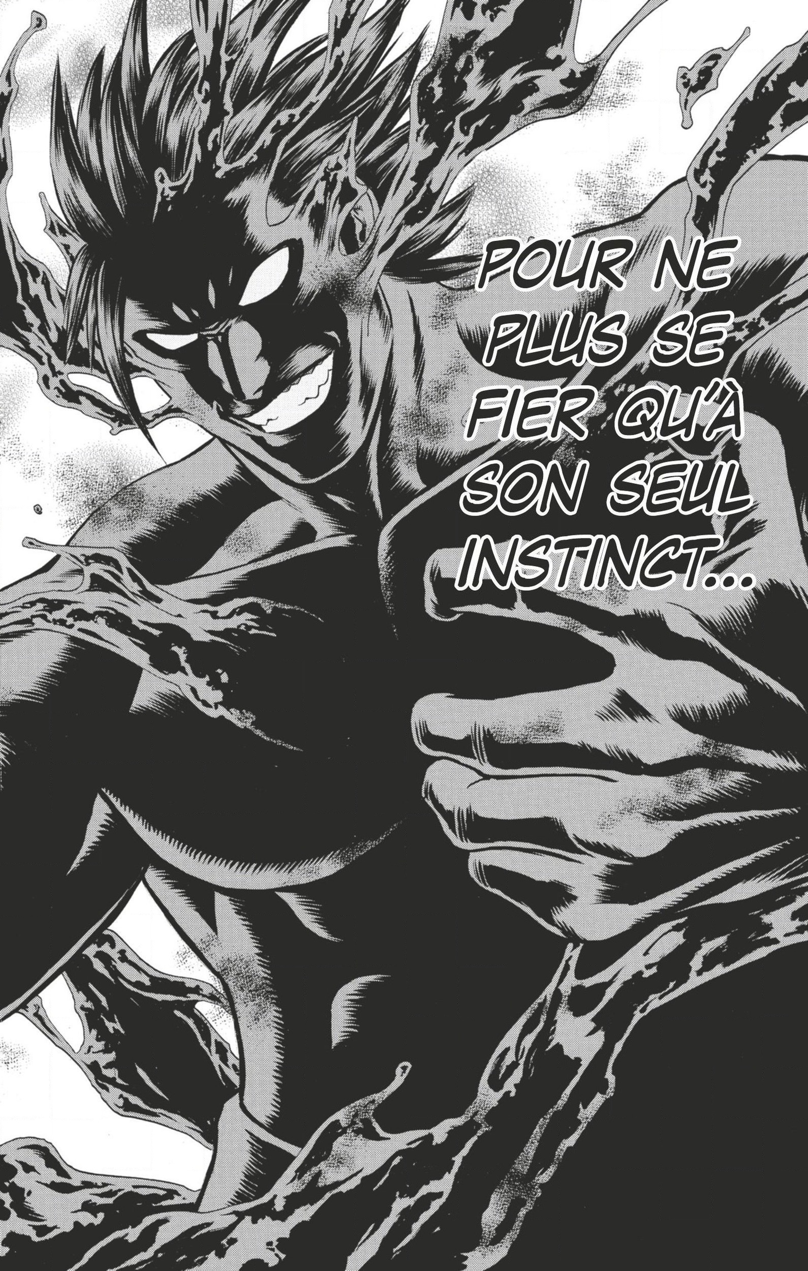 Read Hinomaru Zumou FR Manga Online