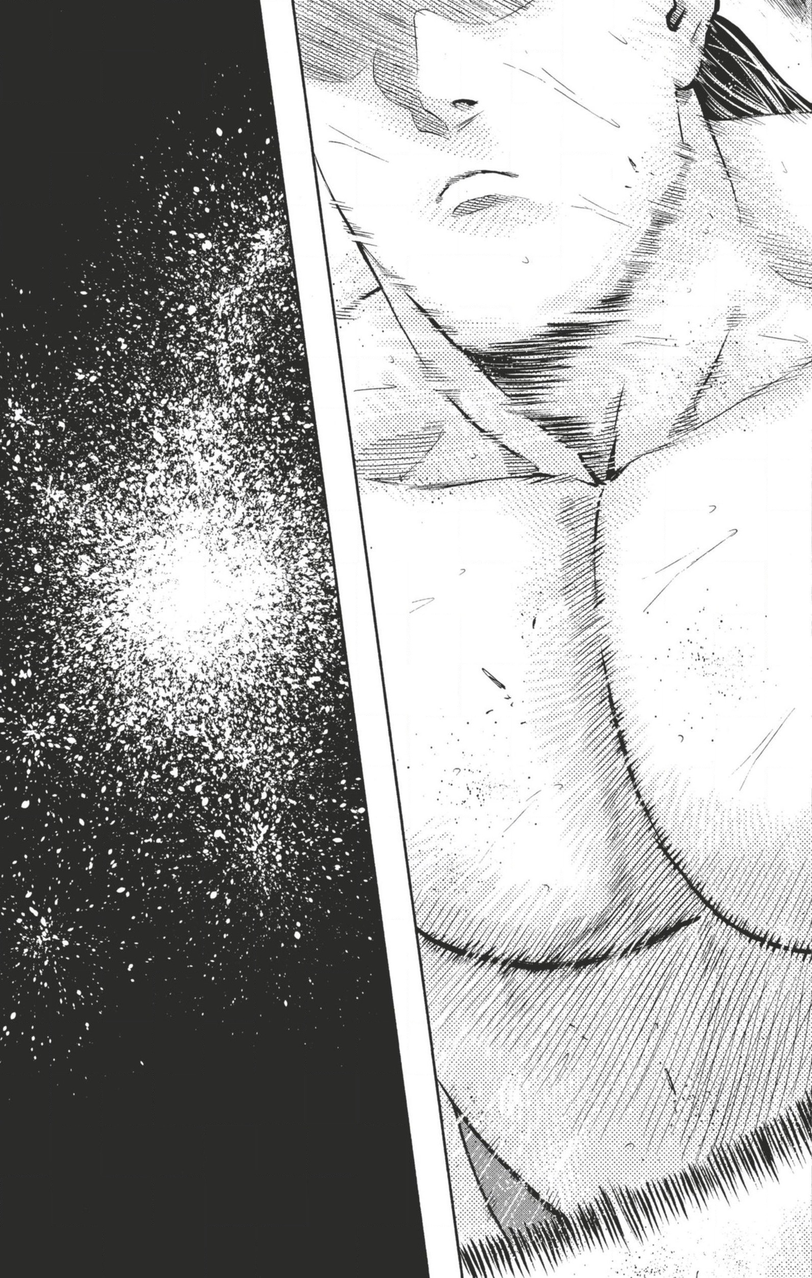 Read Hinomaru Zumou FR Manga Online