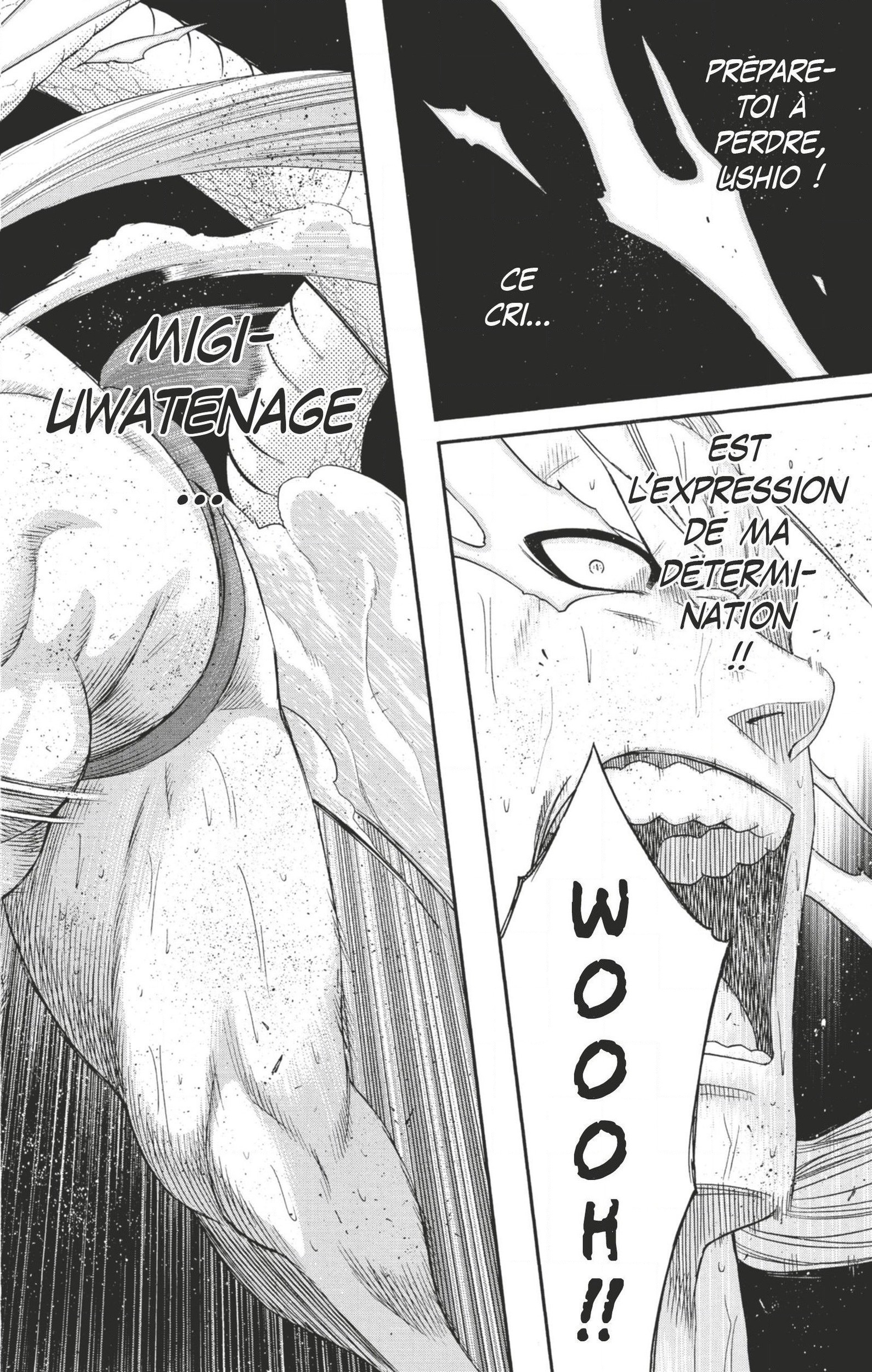 Read Hinomaru Zumou FR Manga Online