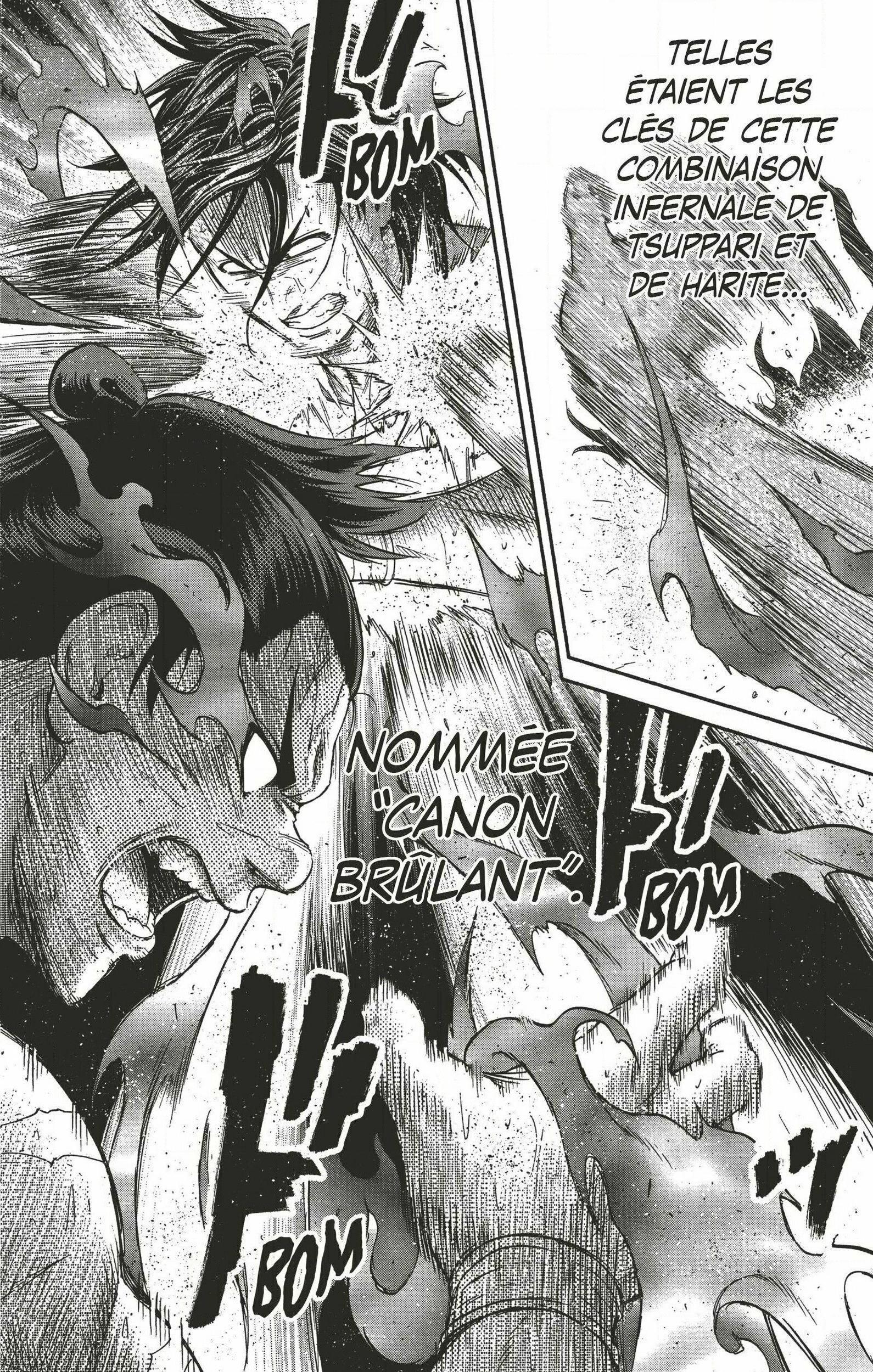 Read Hinomaru Zumou FR Manga Online