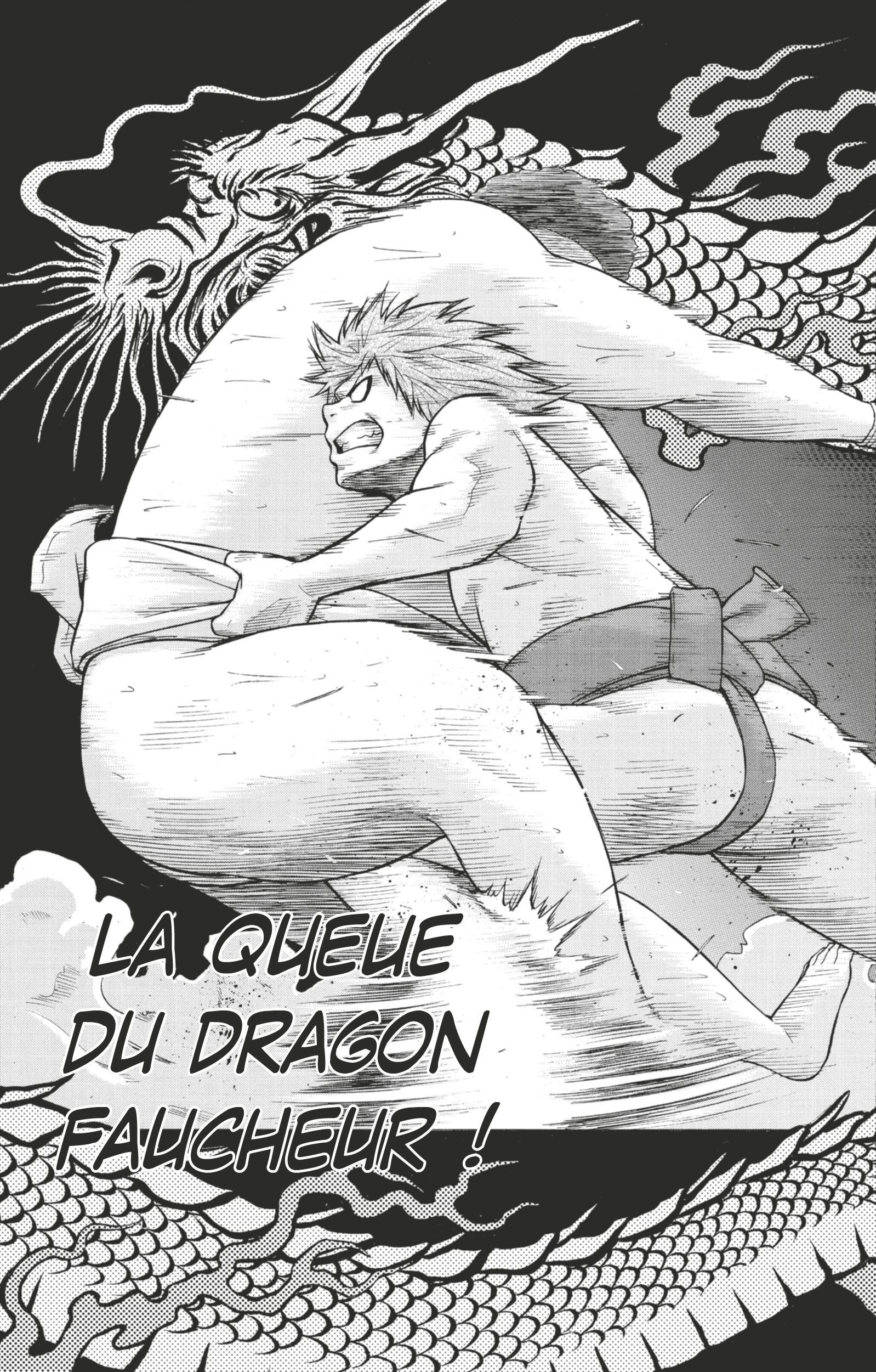 Read Hinomaru Zumou FR Manga Online