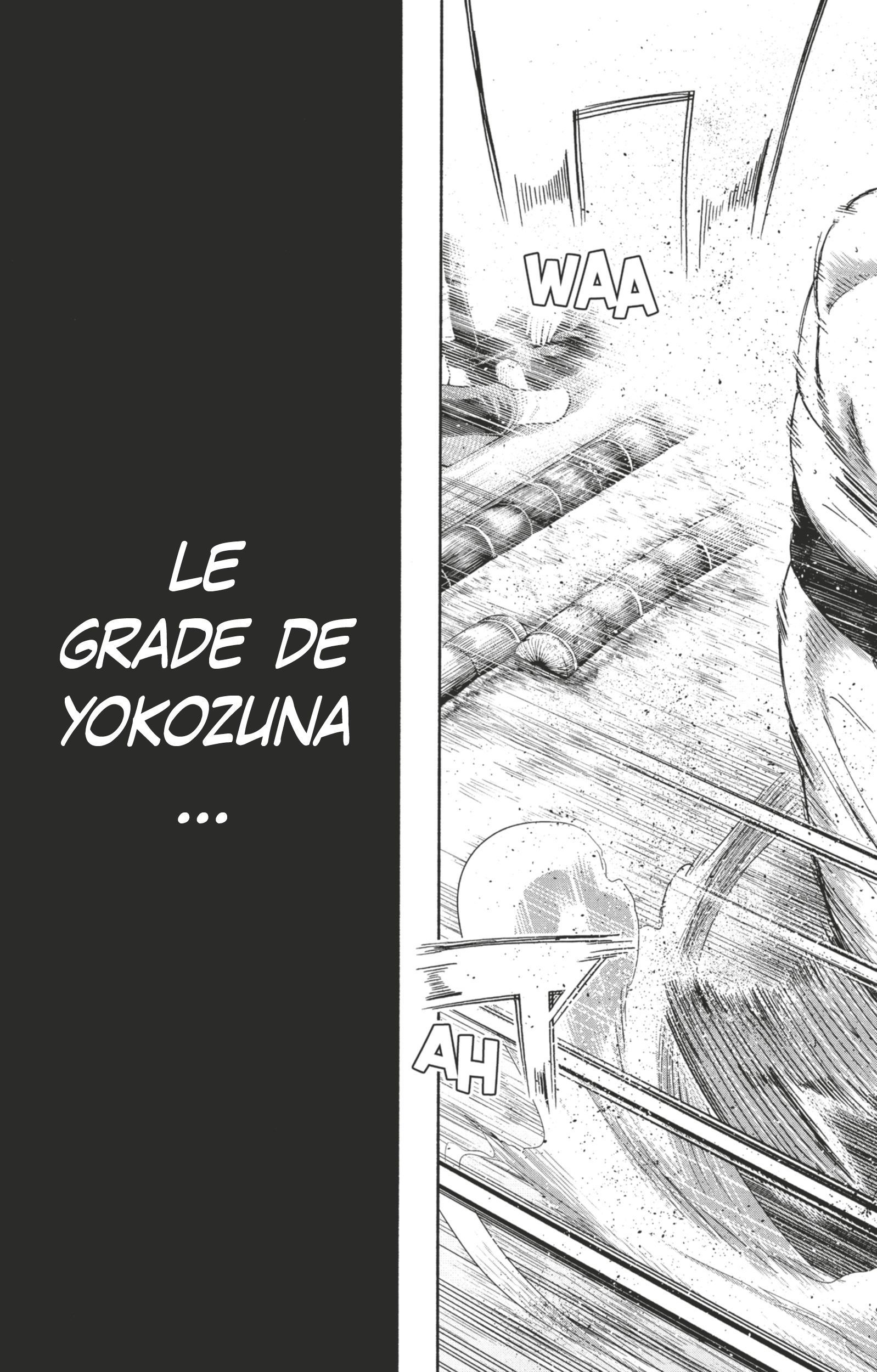 Read Hinomaru Zumou FR Manga Online