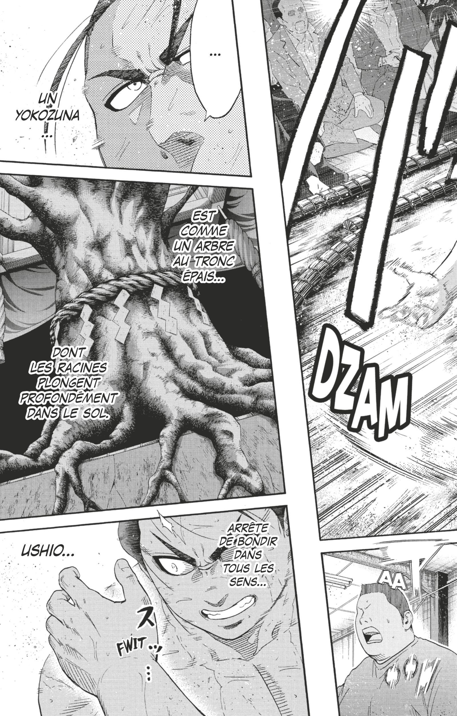Read Hinomaru Zumou FR Manga Online
