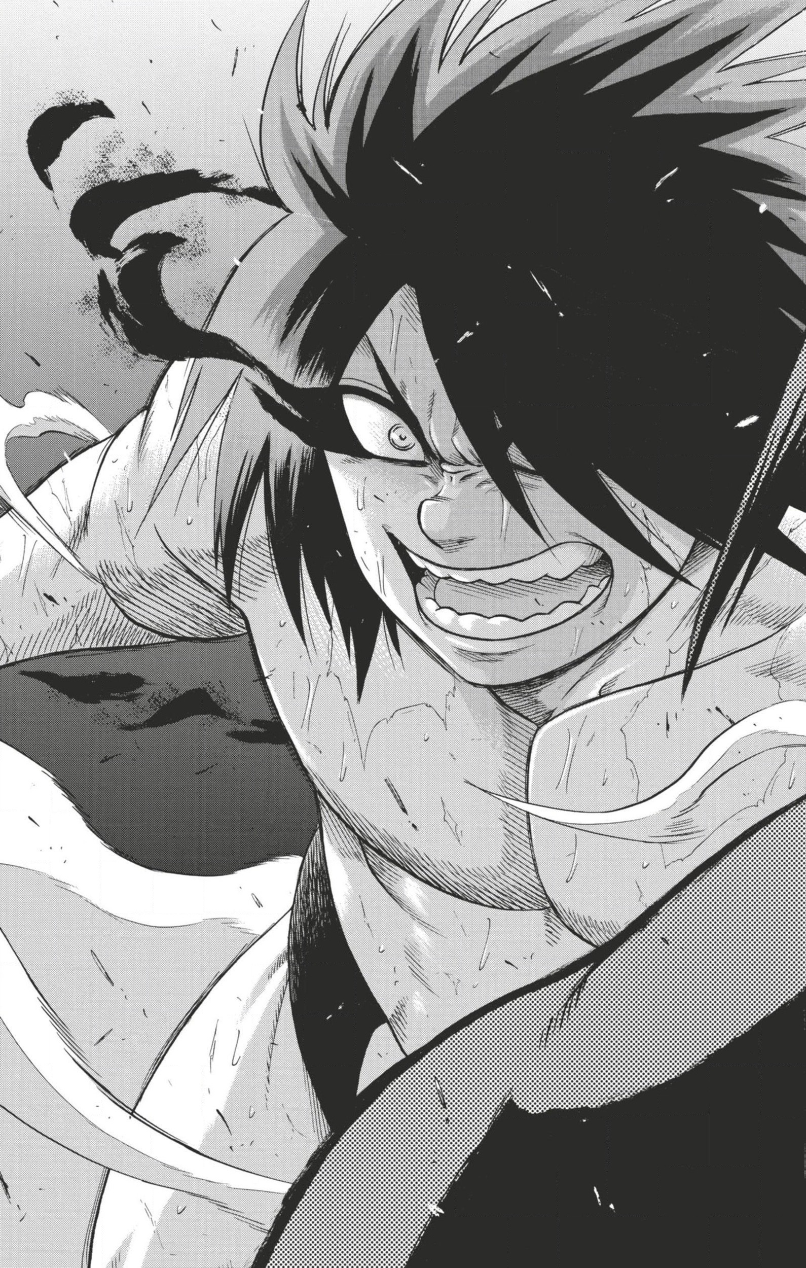 Read Hinomaru Zumou FR Manga Online