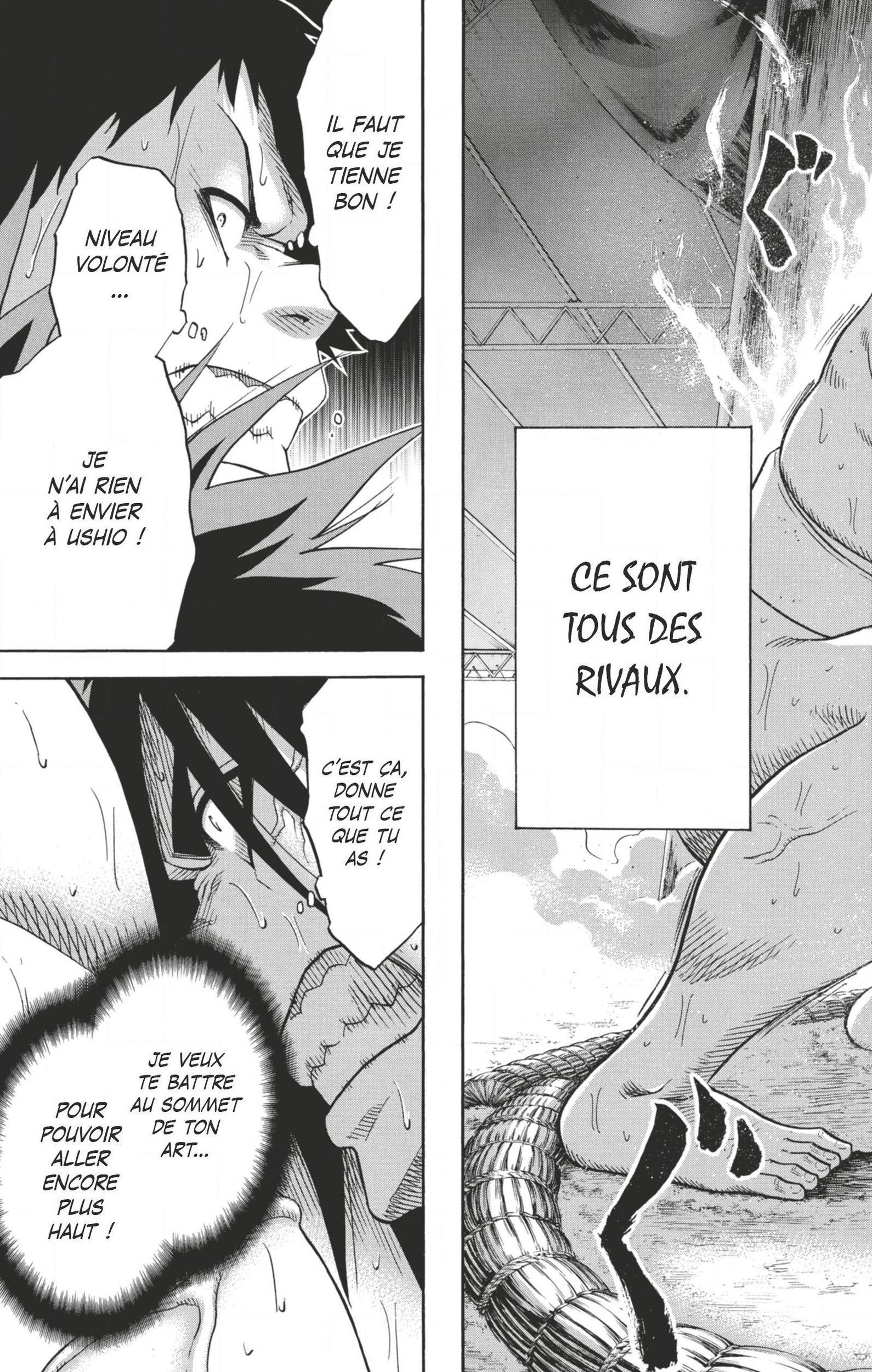 Read Hinomaru Zumou FR Manga Online