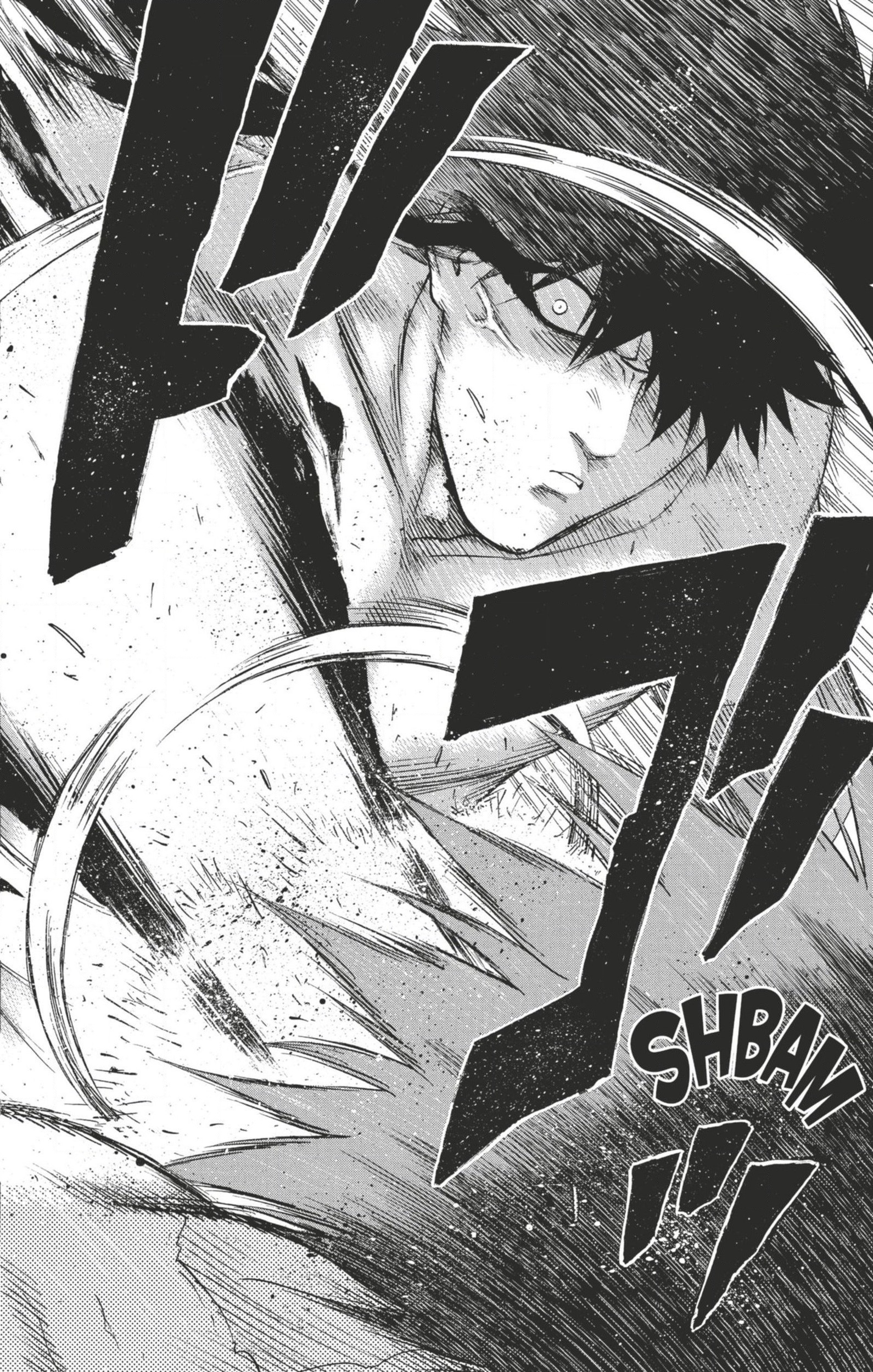 Read Hinomaru Zumou FR Manga Online