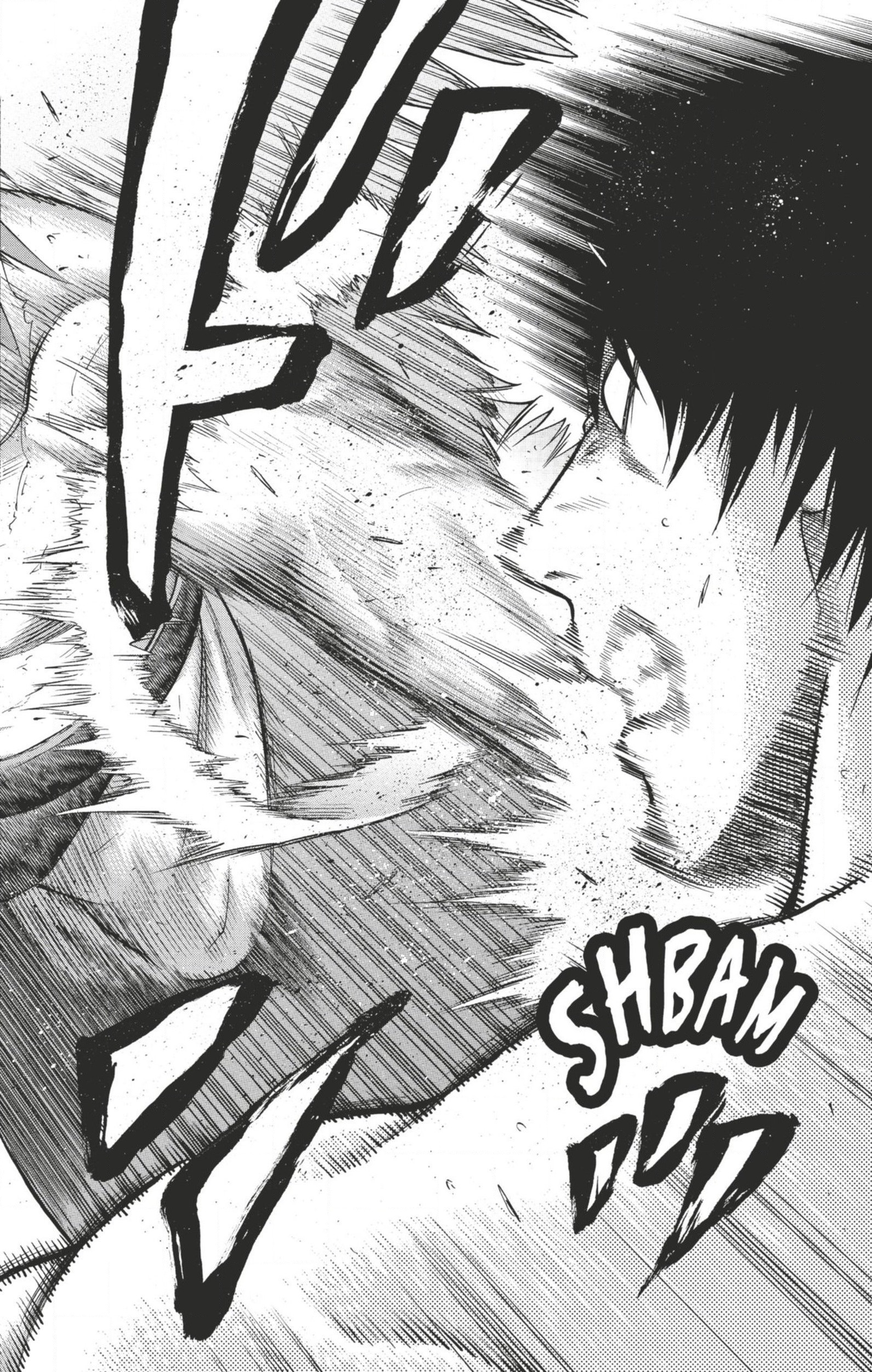 Read Hinomaru Zumou FR Manga Online