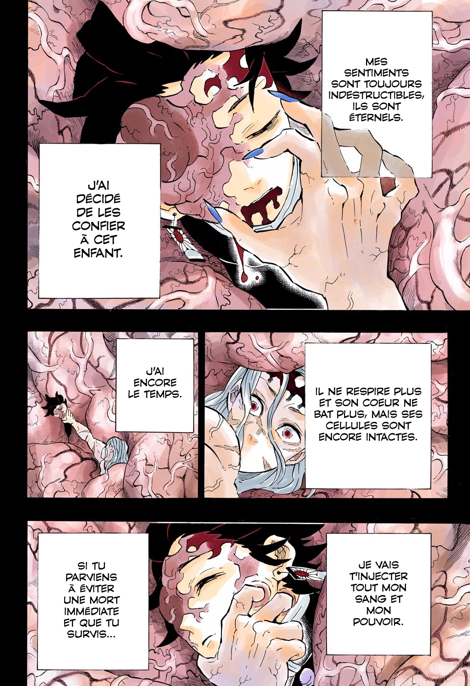 Read Kimetsu No Yaiba FR Manga Online