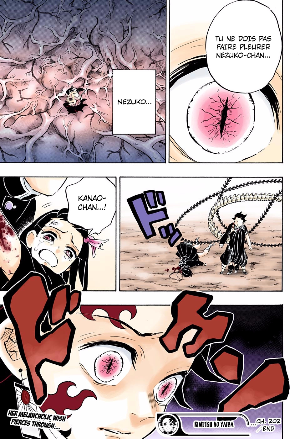 Read Kimetsu No Yaiba FR Manga Online