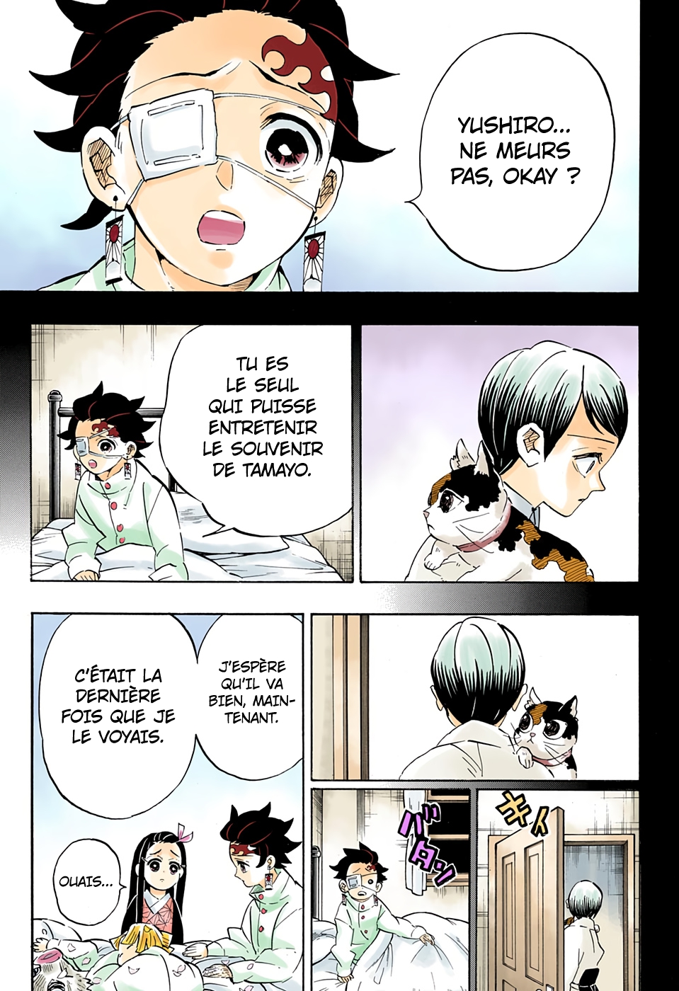 Read Kimetsu No Yaiba FR Manga Online