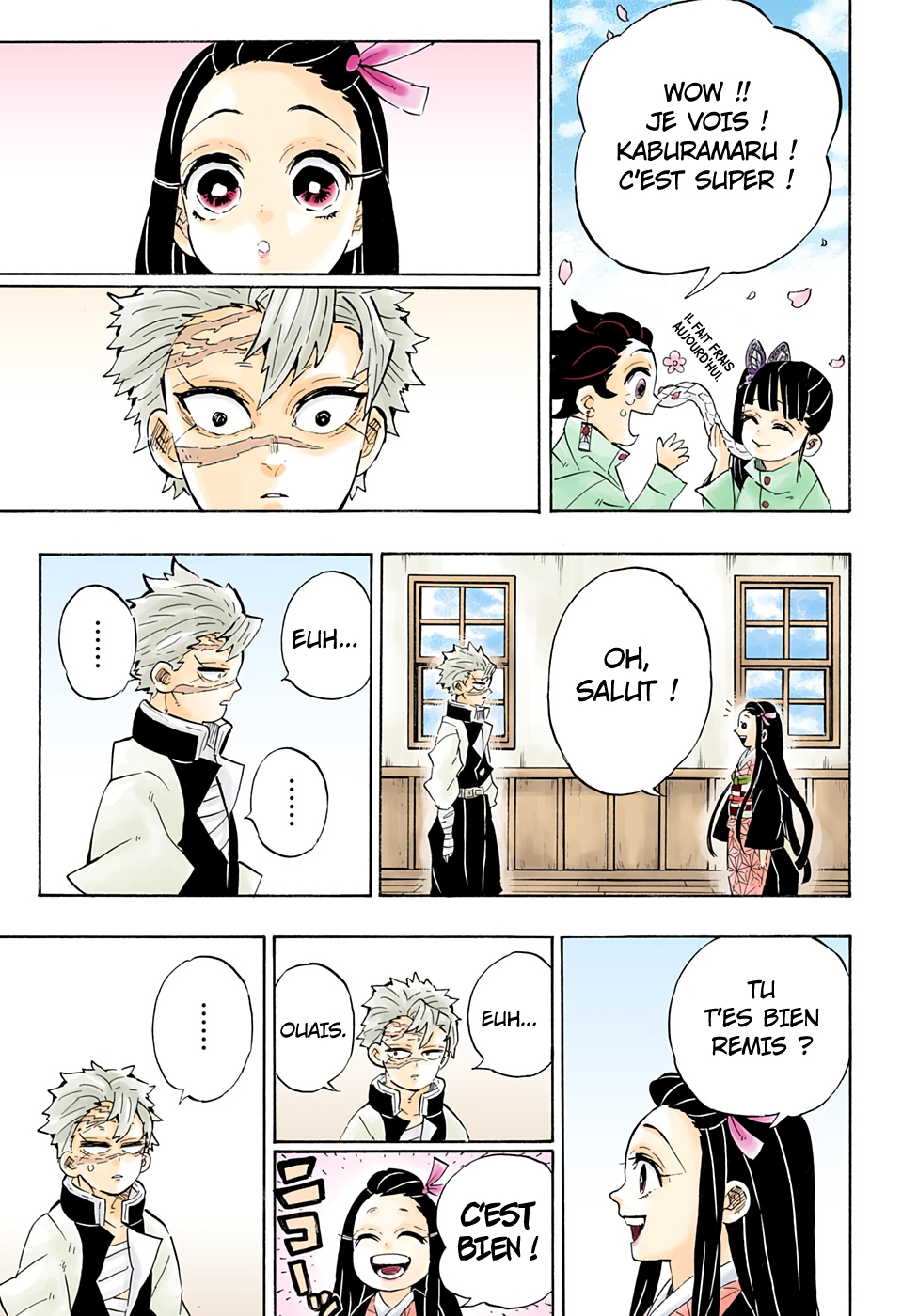 Read Kimetsu No Yaiba FR Manga Online