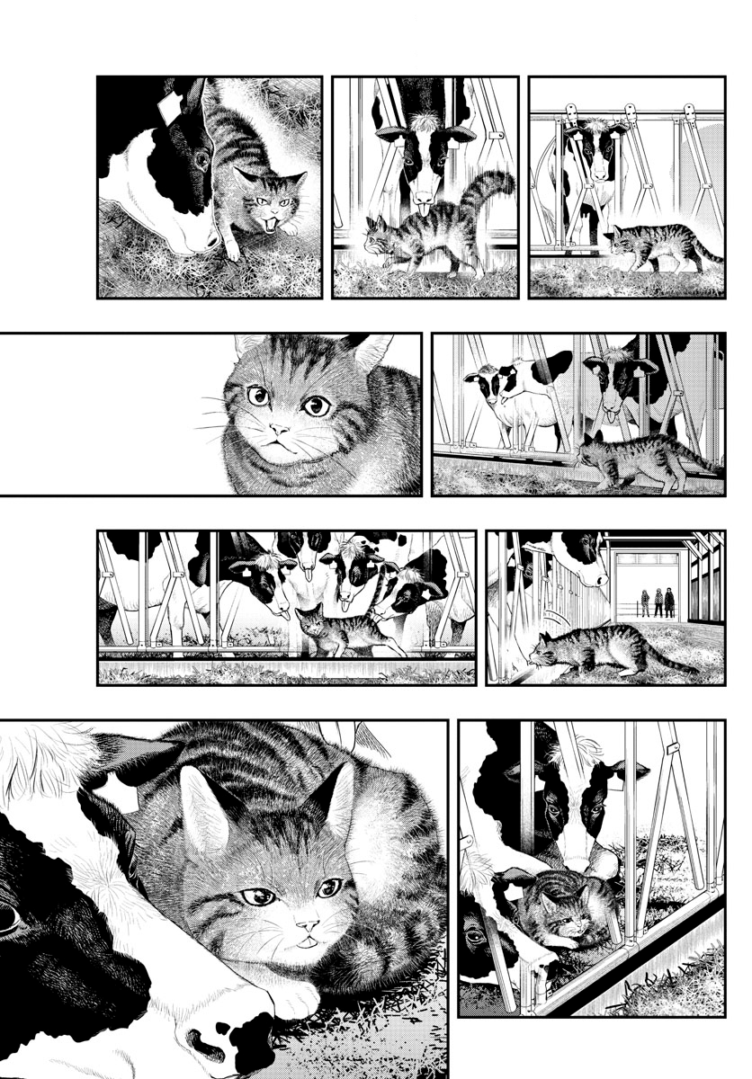 Read Last Karte FR Manga Online