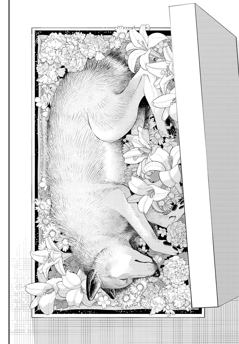 Read Last Karte FR Manga Online