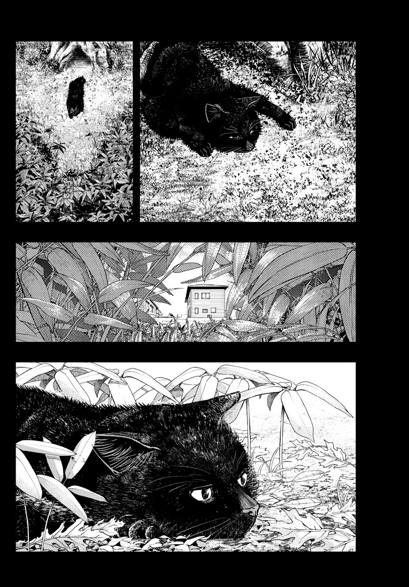 Read Last Karte FR Manga Online