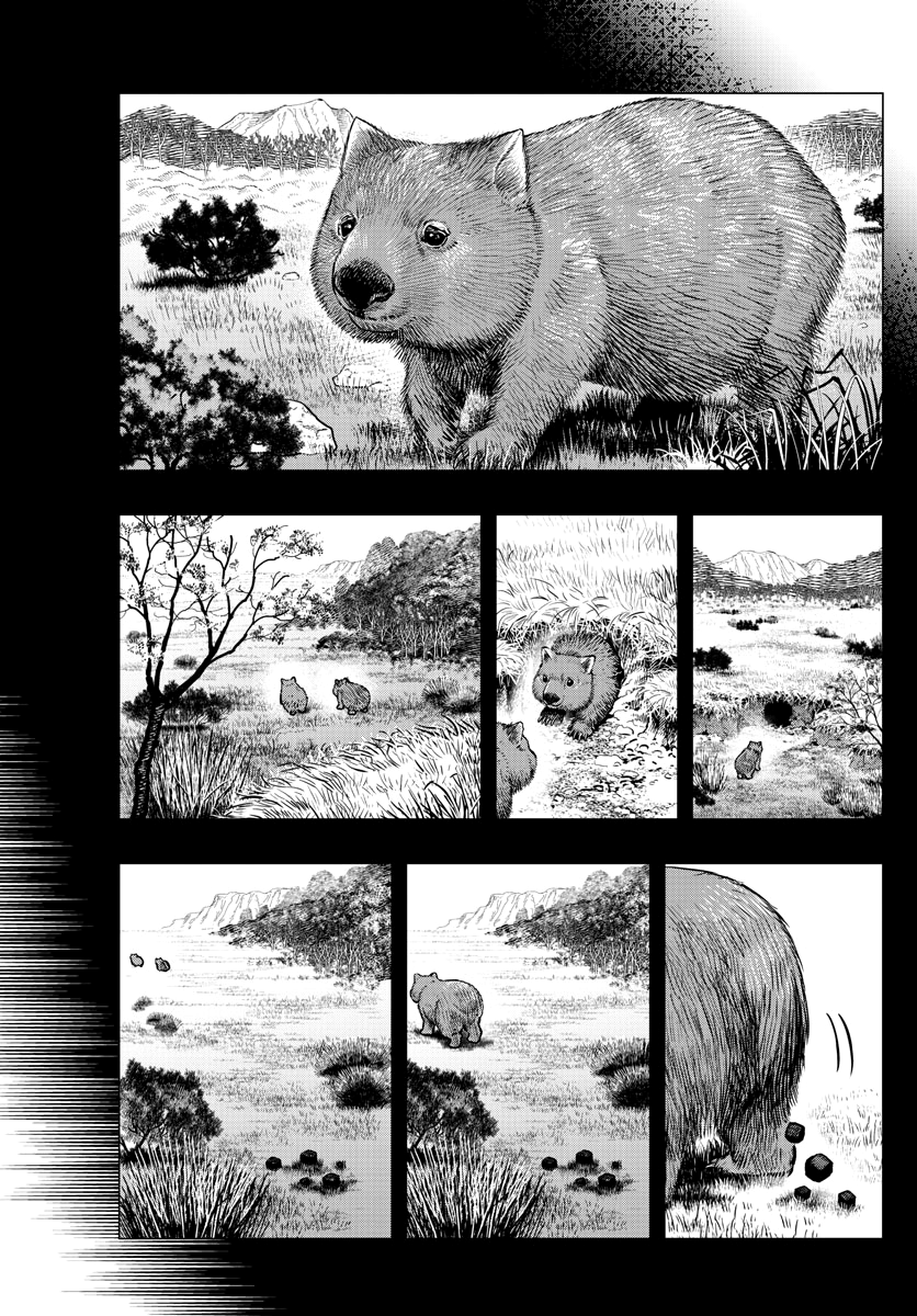 Read Last Karte FR Manga Online