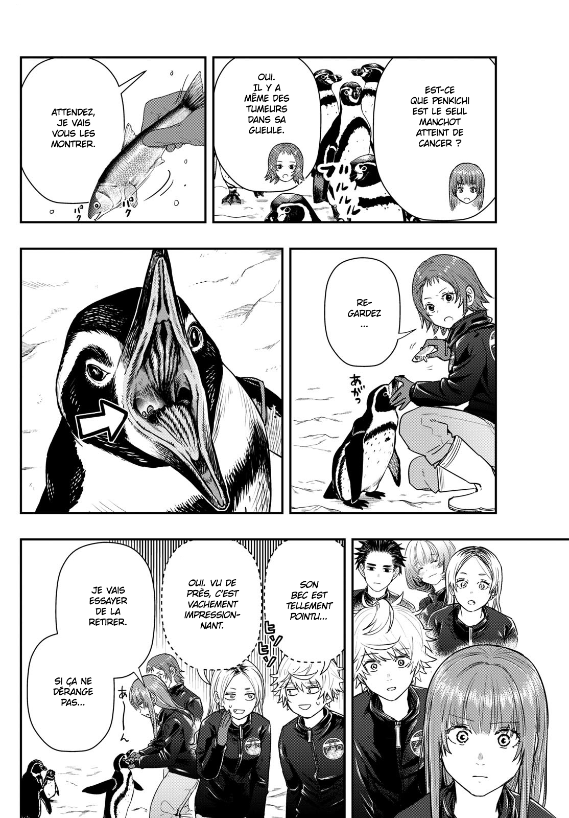 Read Last Karte FR Manga Online