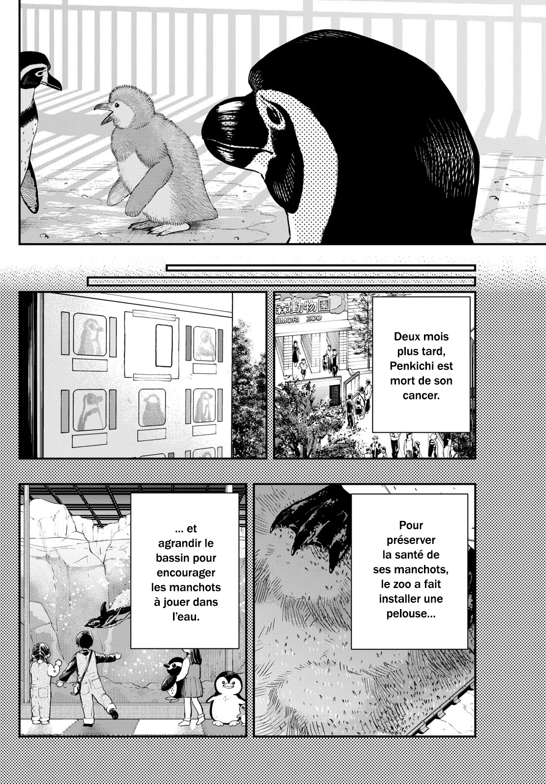Read Last Karte FR Manga Online