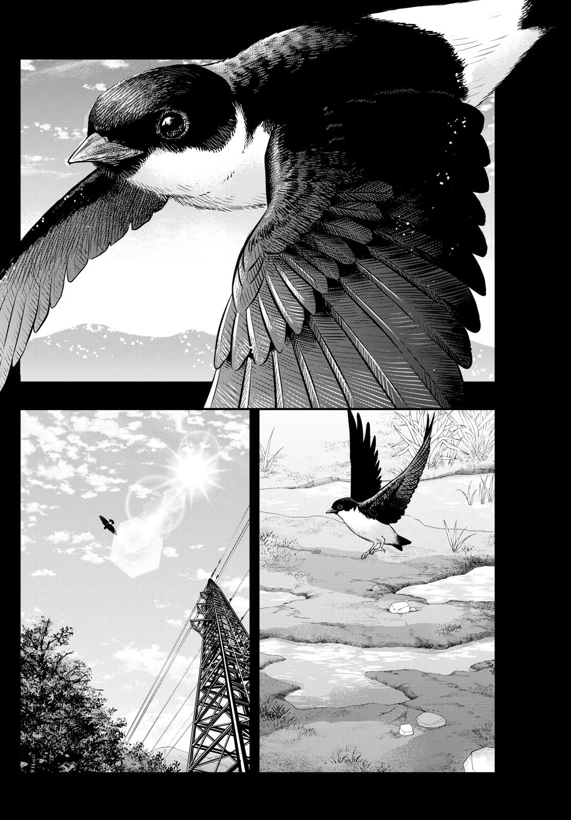 Read Last Karte FR Manga Online