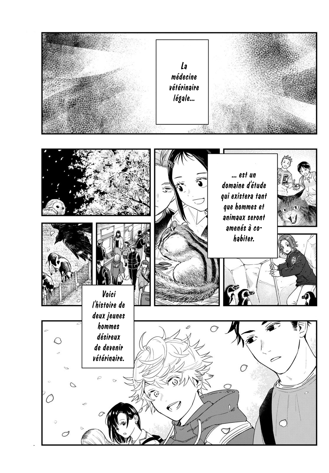 Read Last Karte FR Manga Online
