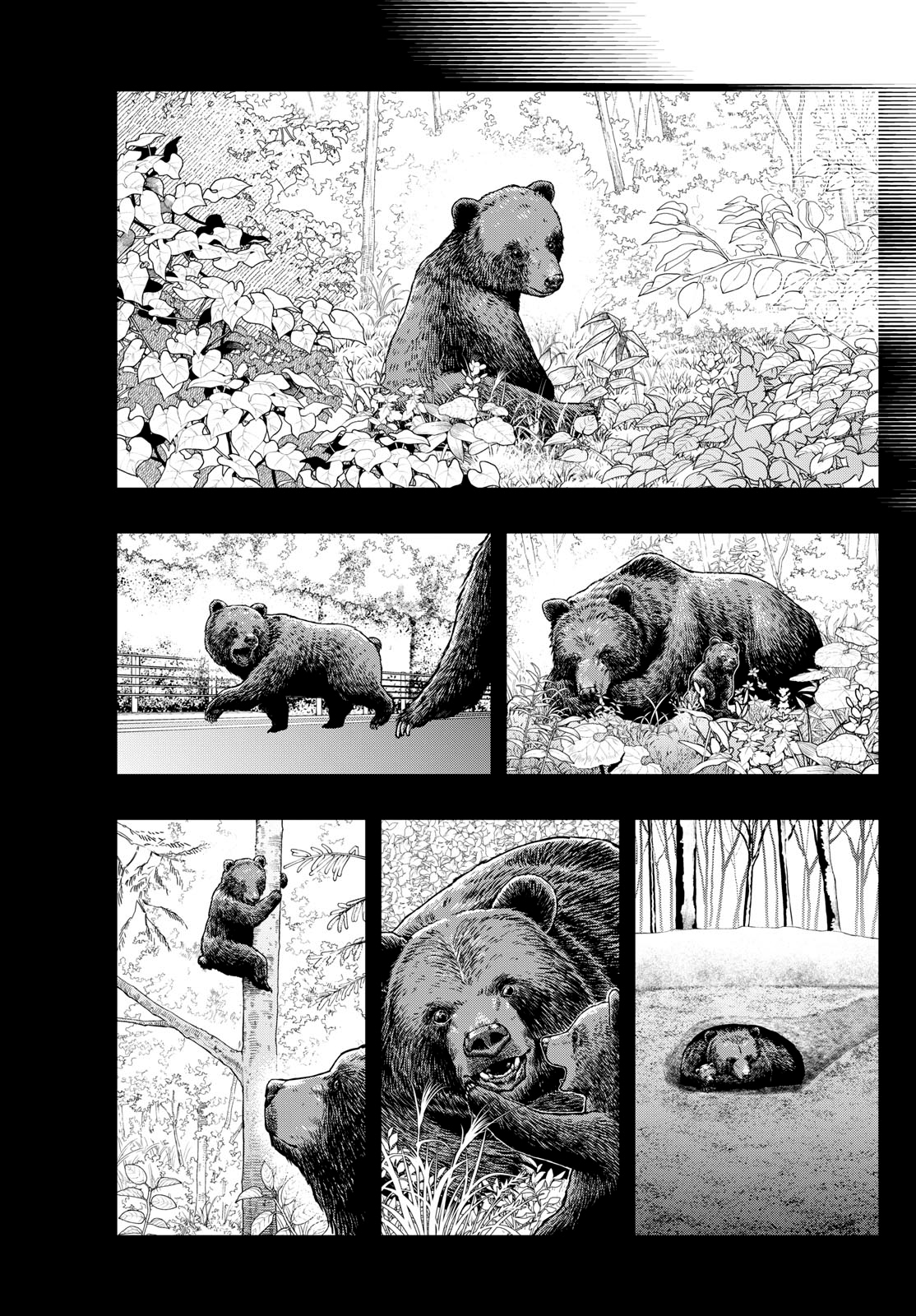 Read Last Karte FR Manga Online