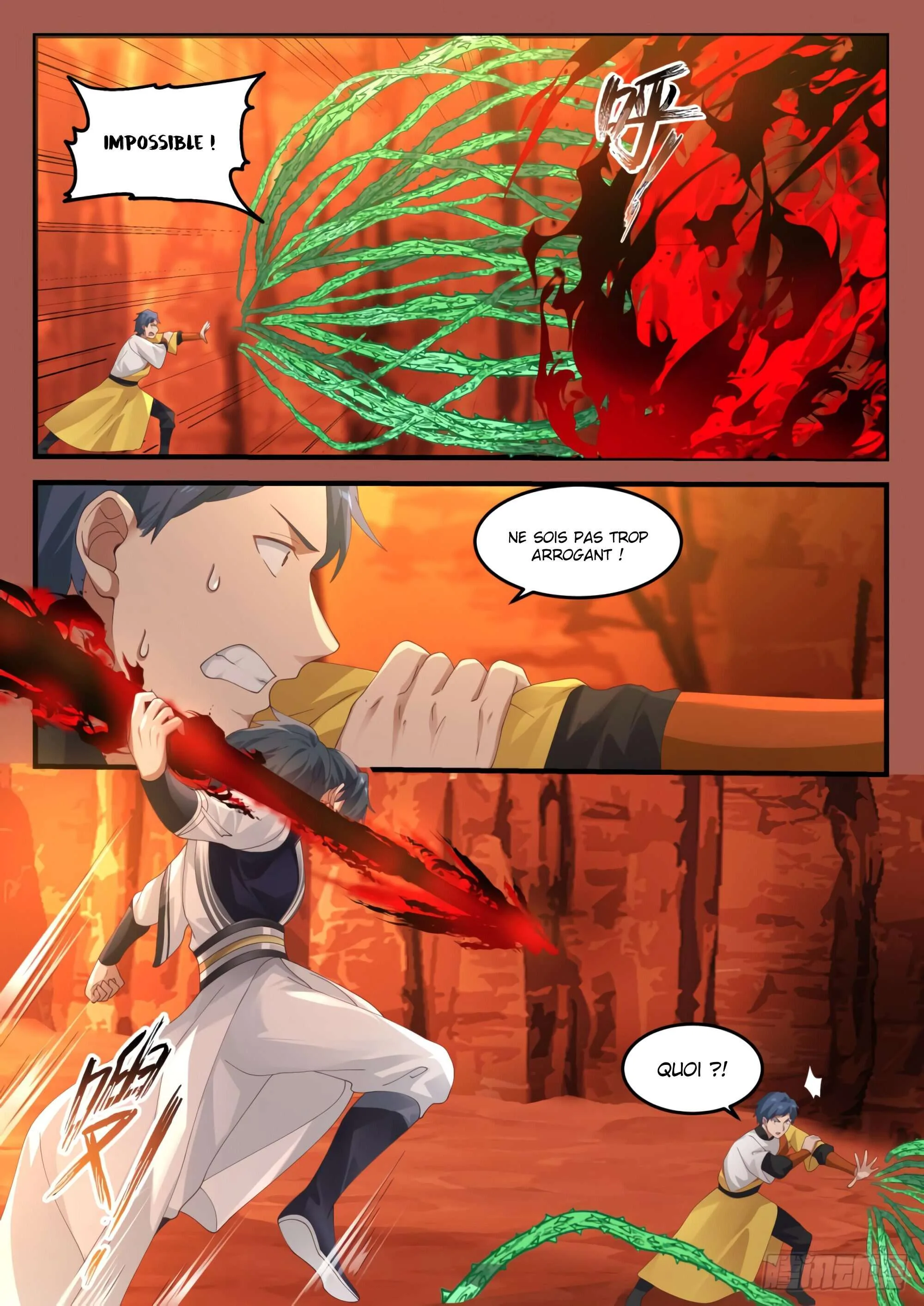 Read Martial Peak FR Manga Online