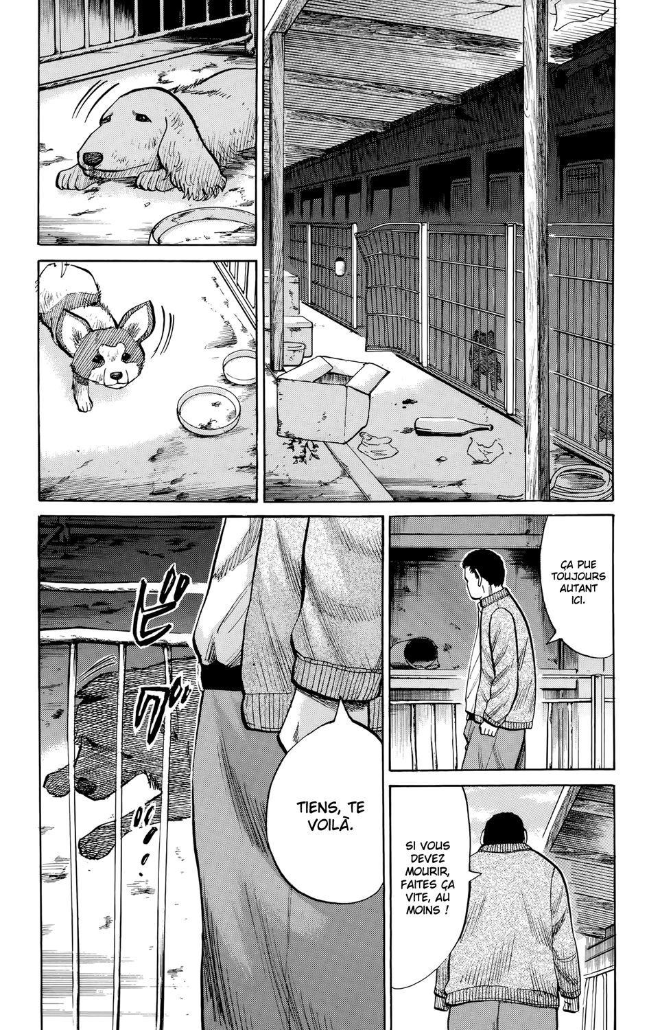 Read NANBA MG5 FR Manga Online