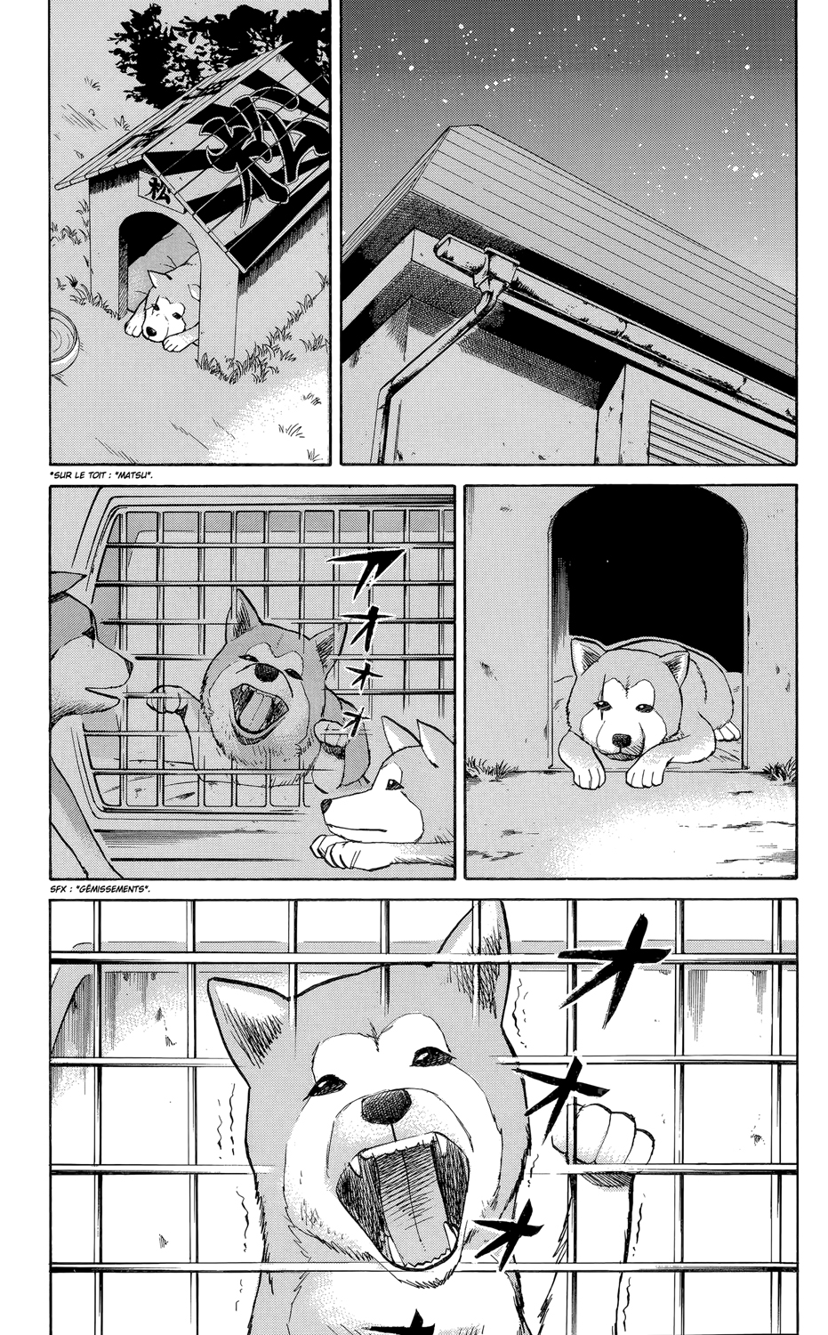 Read NANBA MG5 FR Manga Online