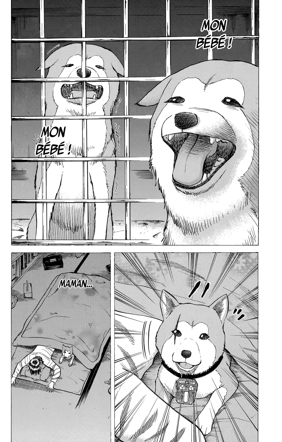 Read NANBA MG5 FR Manga Online