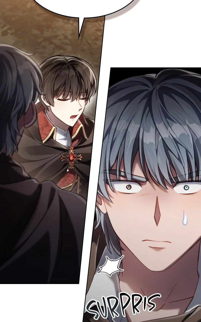 Read Reborn as the Enemy Prince FR Manga Online