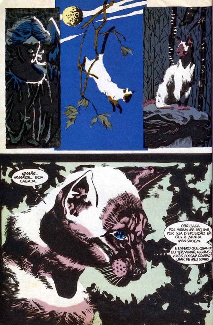 Read Sandman (PT-BR) PT Manga Online